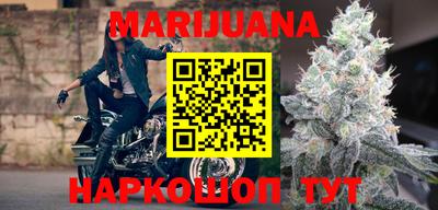 индика Ачхой-Мартан