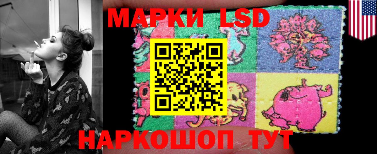 Лсд 25 экстази кислота  Лсд 25 экстази кислота  Котовск  ОМГ ОМГ как зайти  Вход с VPN  Лсд 25 экстази 