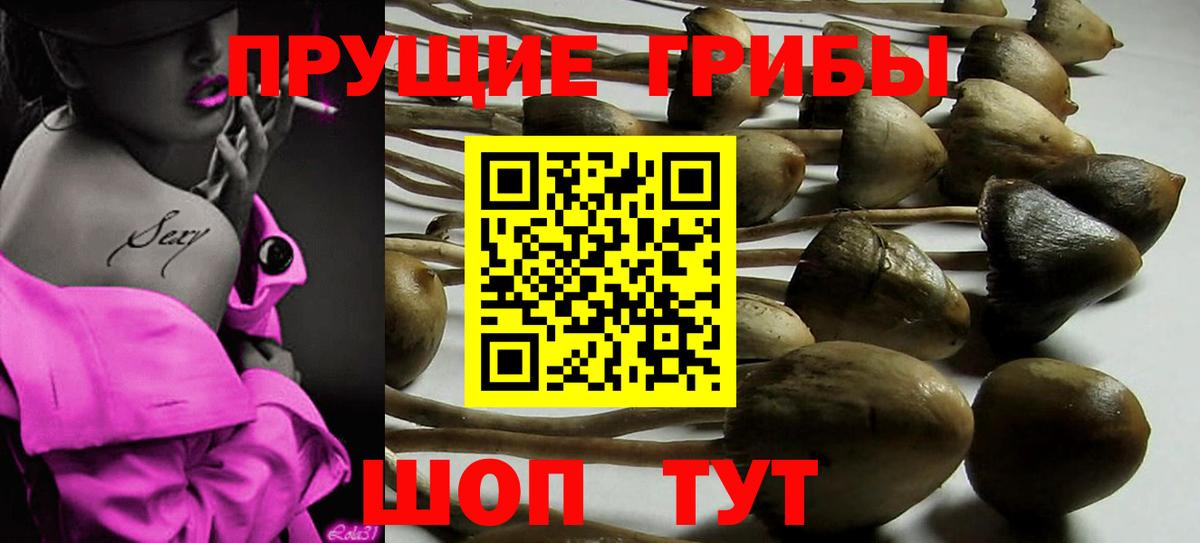 Галлюциногенные грибы GOLDEN TEACHER Котовск